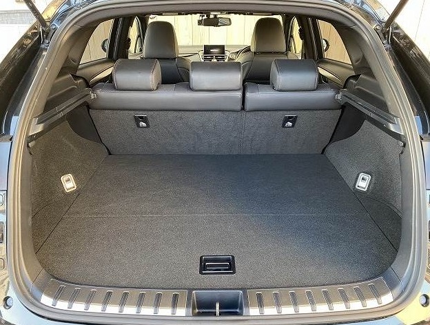 LEXUS NX NX200T F SPORT
